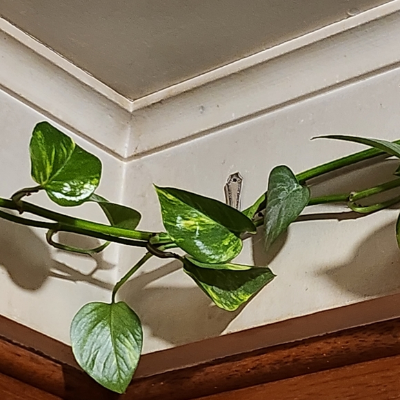 Set 3 Hooks (randomly chosen styles) - Picture 2 of 5